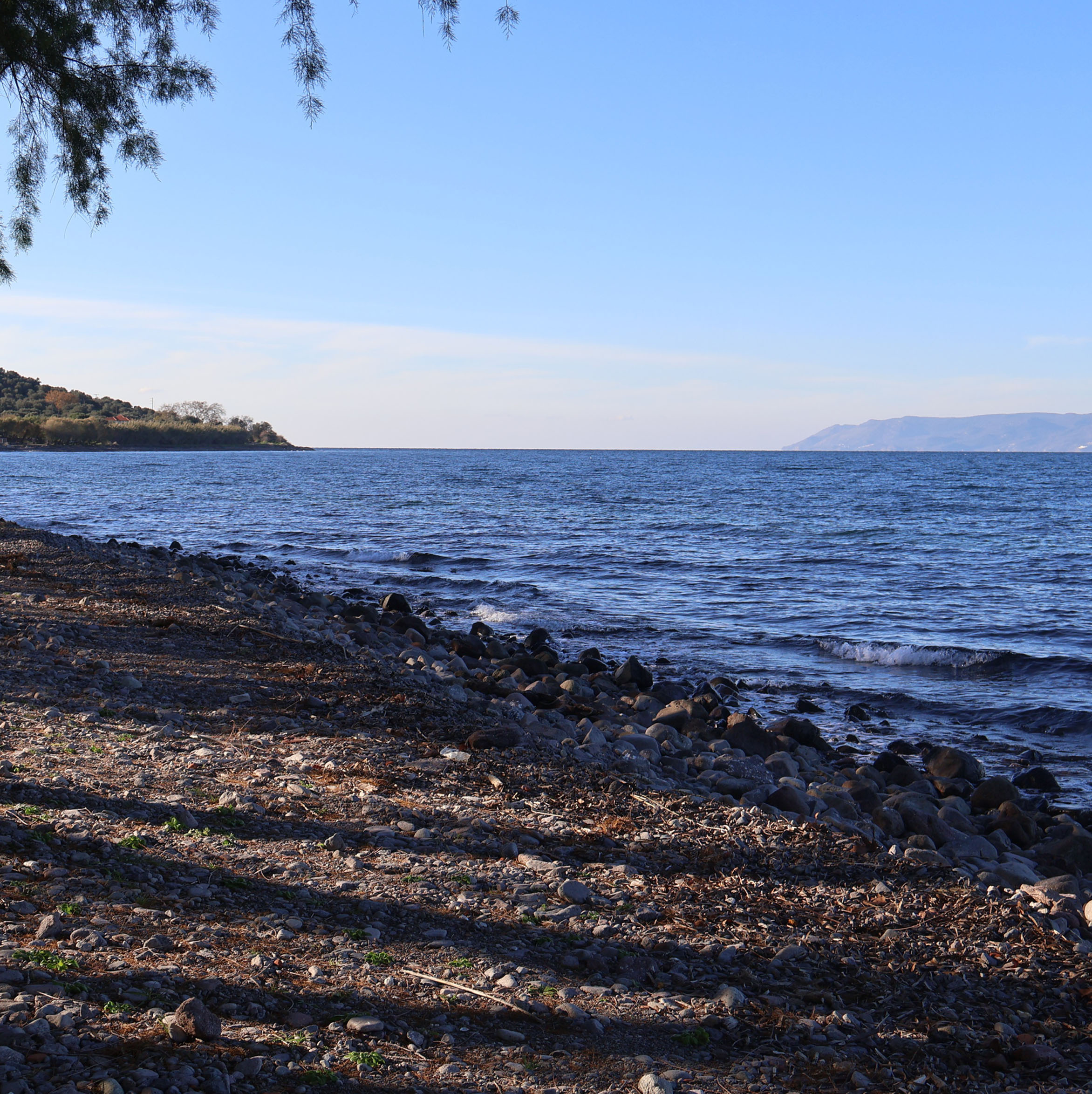 Island